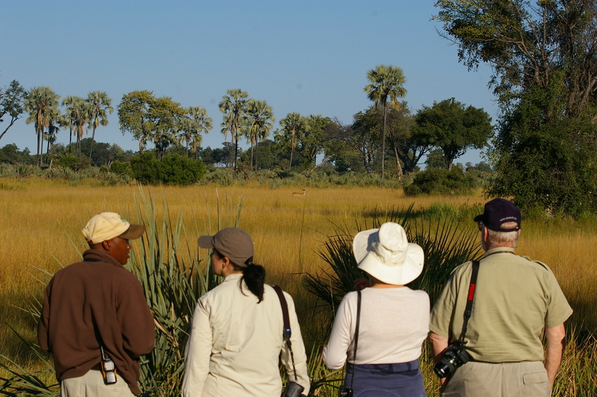 Xugana The Okavango Delta Botswana 2Jpg