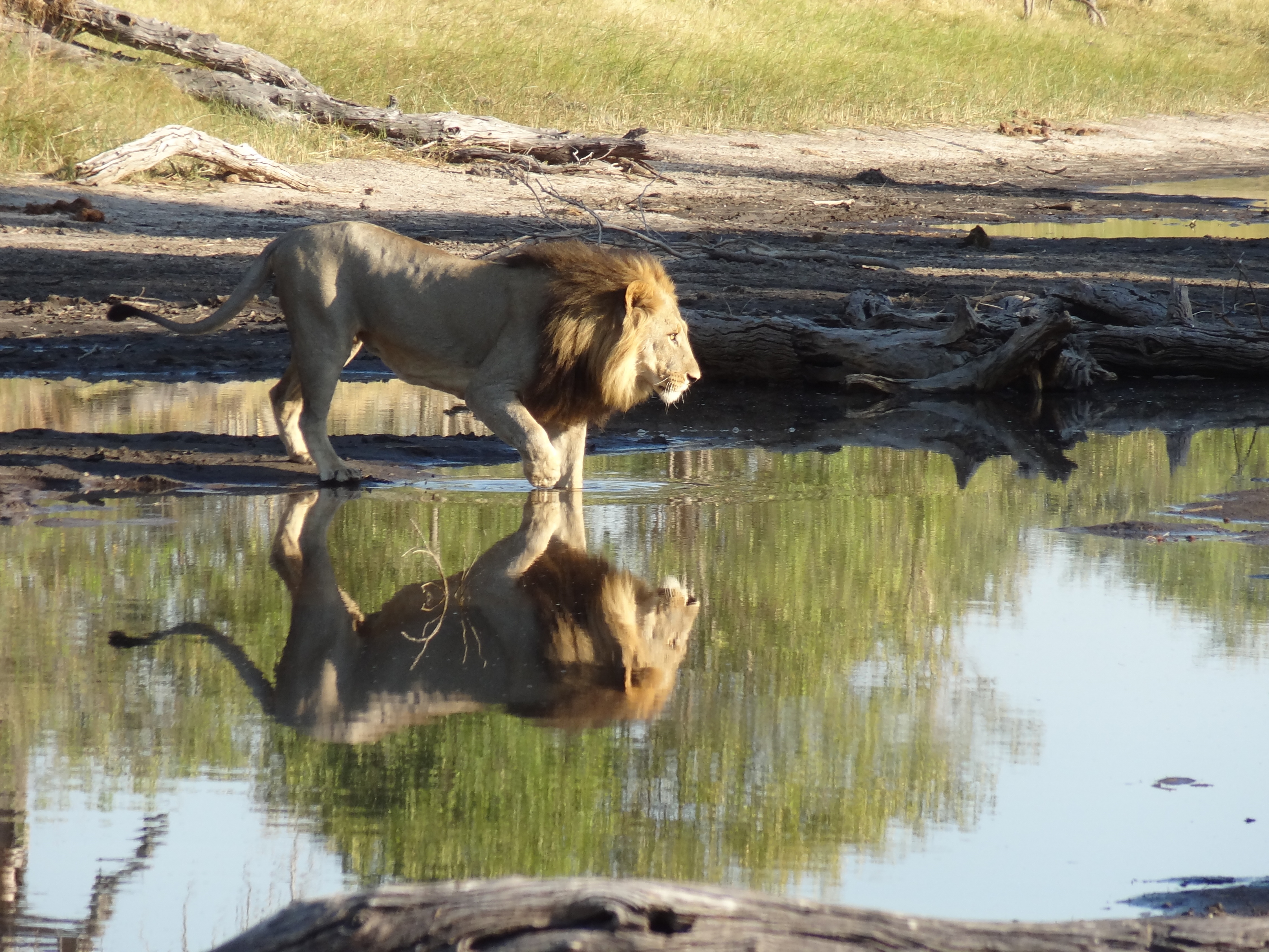 Botswana Copyright Of Grant 60