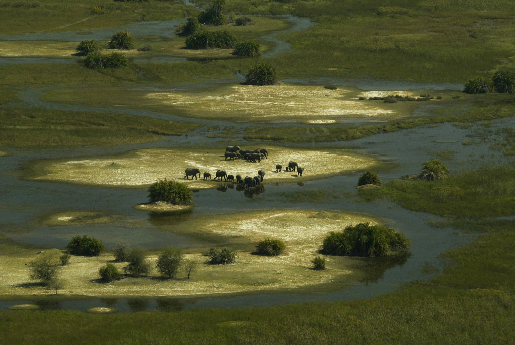 Botswana Duba Plains Camp Okavango Delta Copyright Beverly Joubert Duba Wildlife Botswana 4041