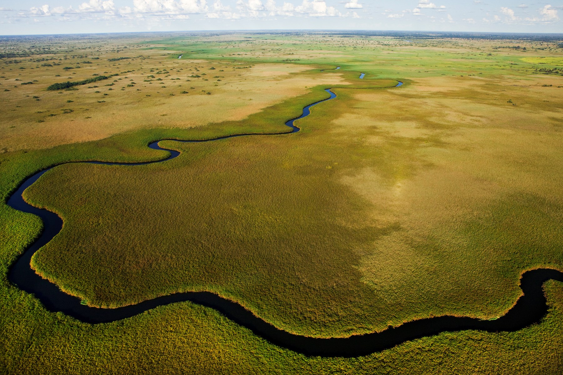 Botswana Dubaexpeditioncamp Landscape Greatplainsconservation 3