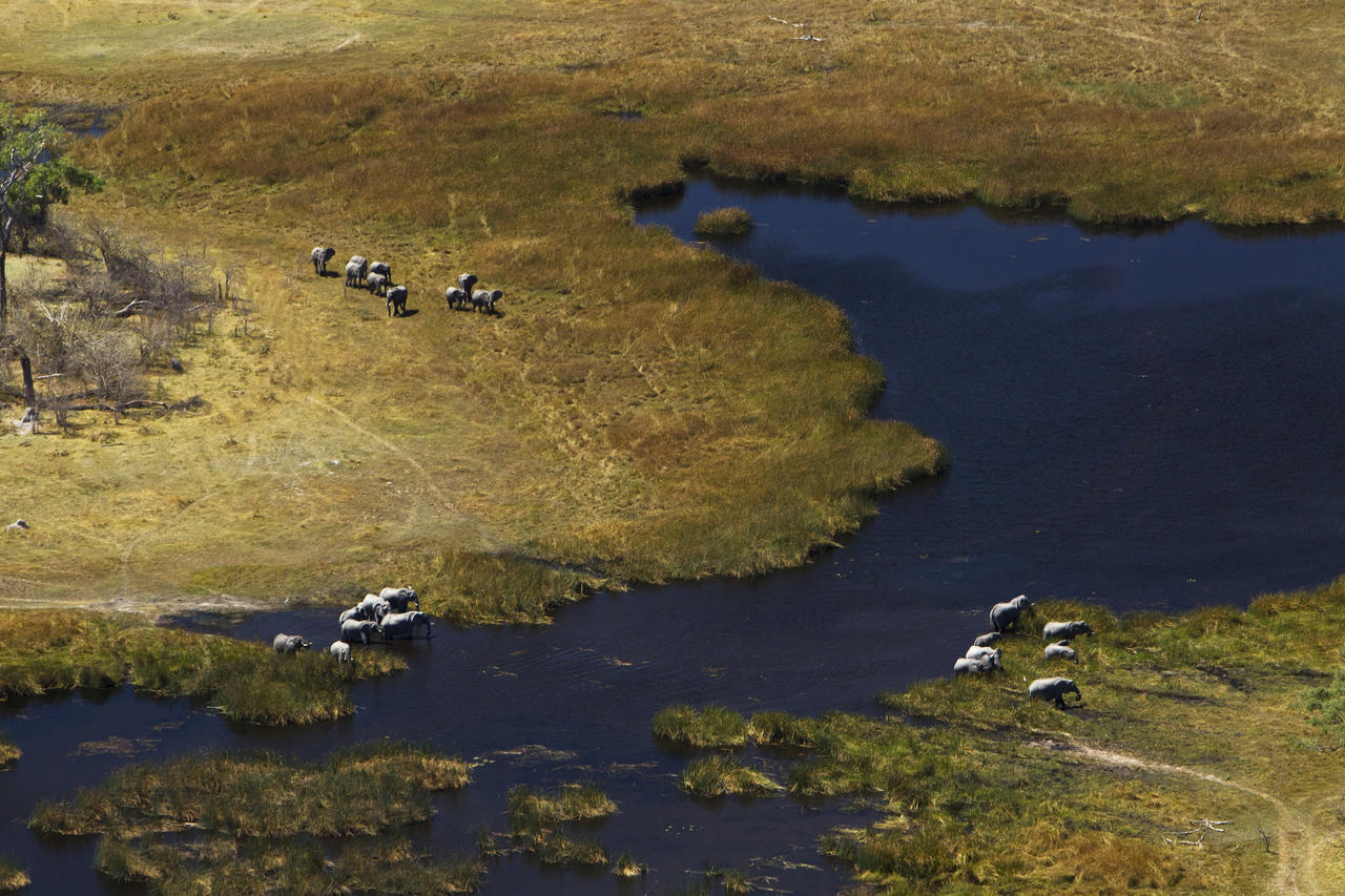 Selinda Camp Linyanti And Selinda Botswana25