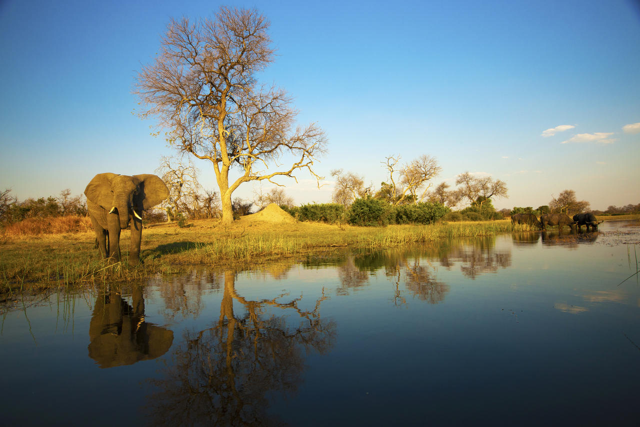 Selindaadventuretrail Wildlife Greatplainsconservation 26