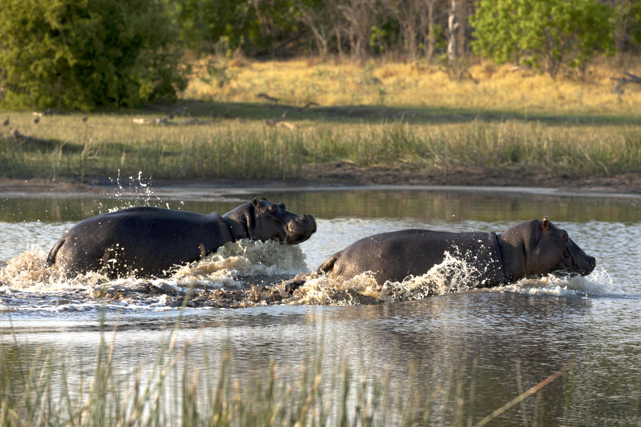 Selindaadventuretrail Wildlife Greatplainsconservation 29