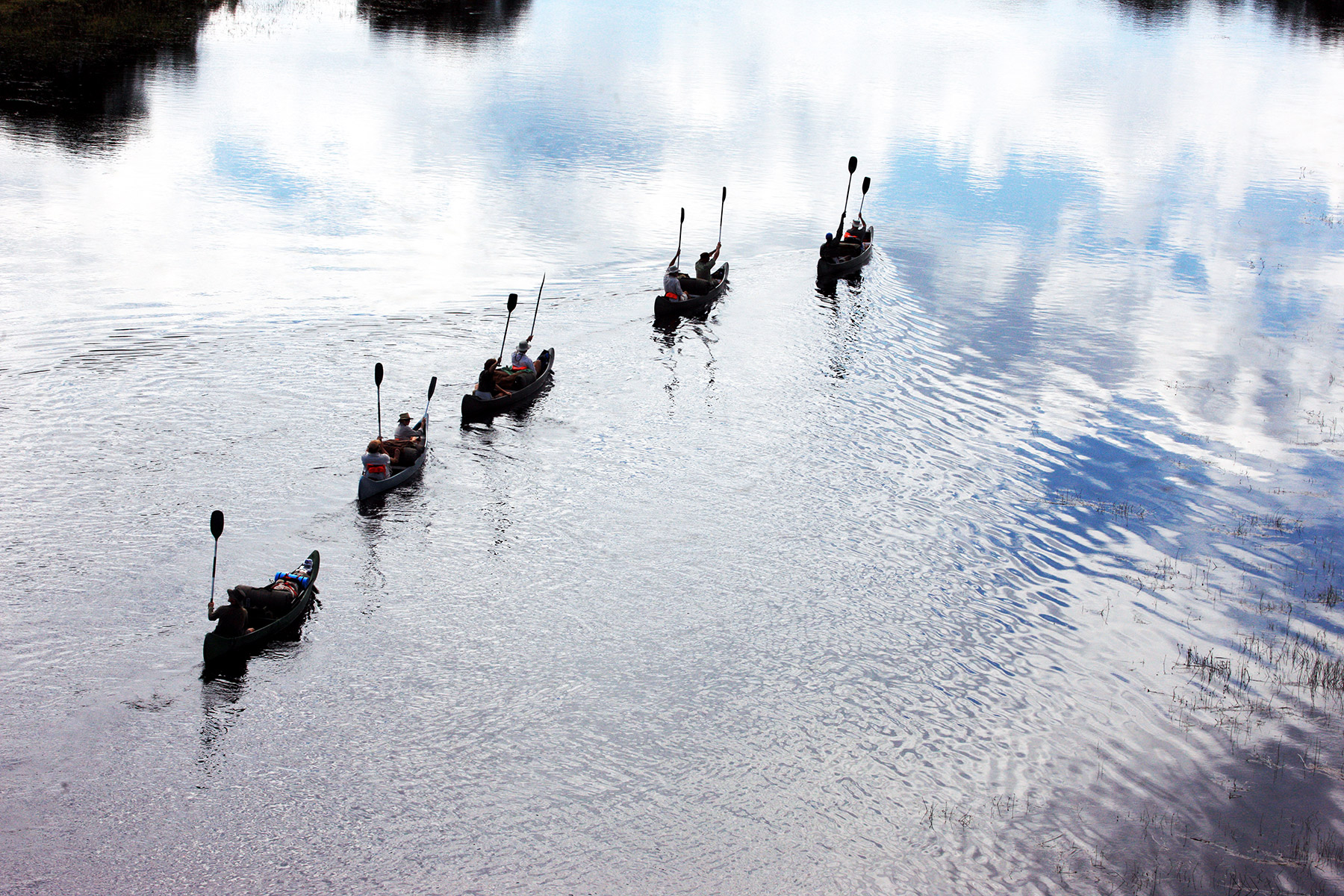 Selinda Adventure Trail 2 Linyanti And Selinda Botswana1