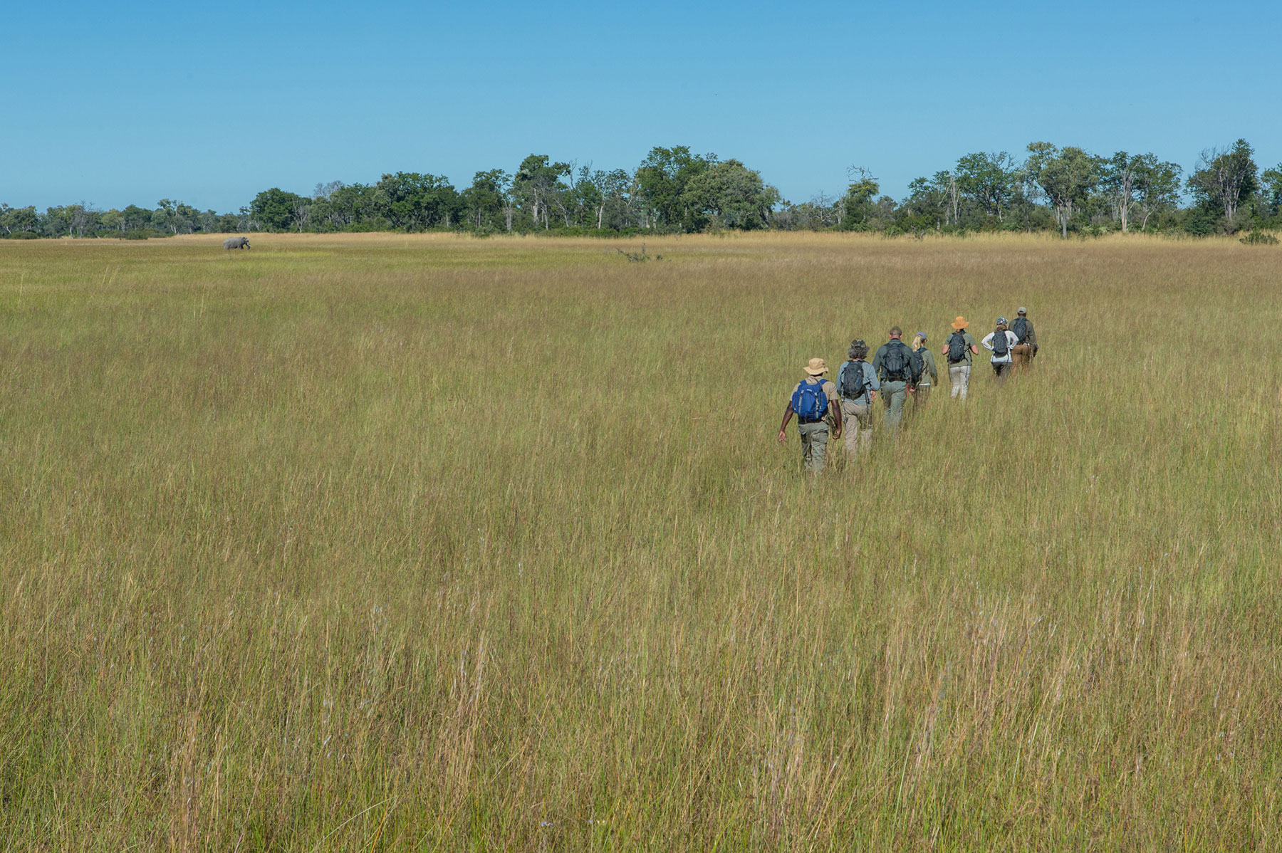 Selinda Adventure Trail 2 Linyanti And Selinda Botswana9