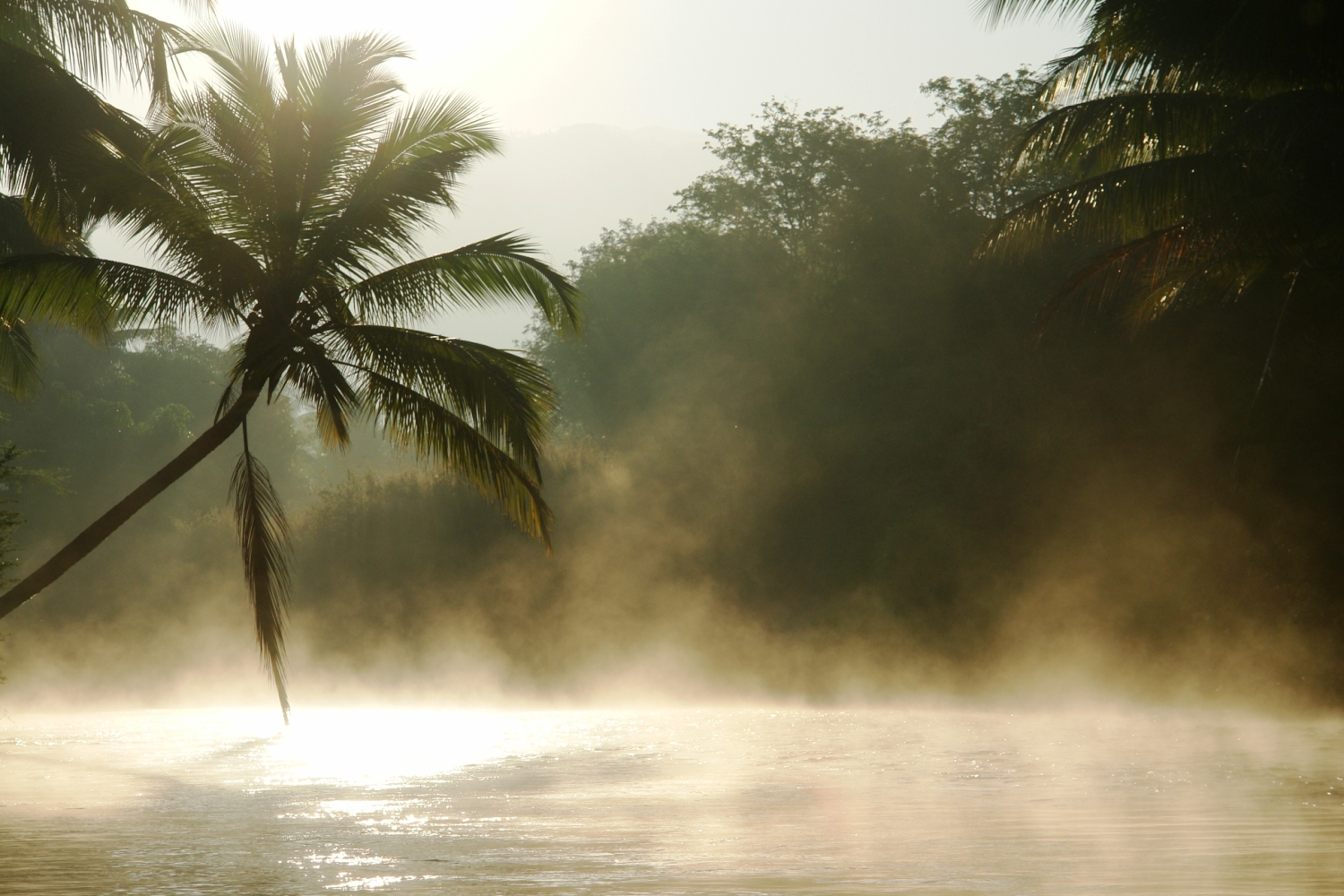 South India Spice Village Kerala India