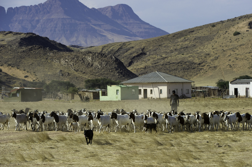 Damaraland Camp Damaraland Namibia 19