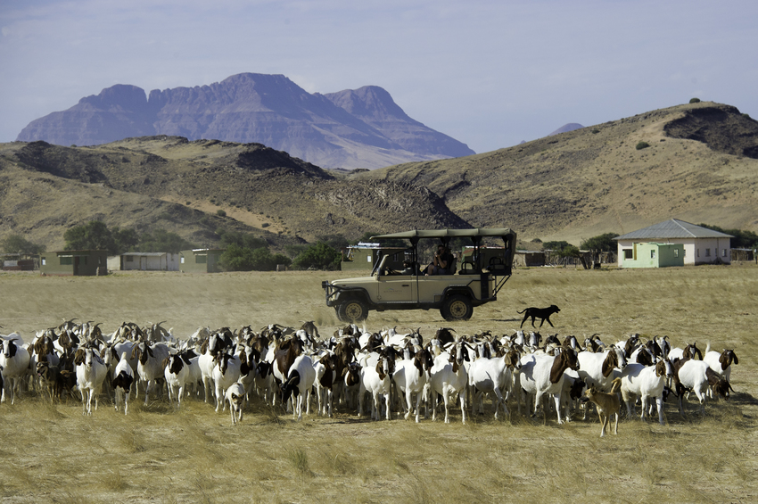 Damaraland Camp Damaraland Namibia 20