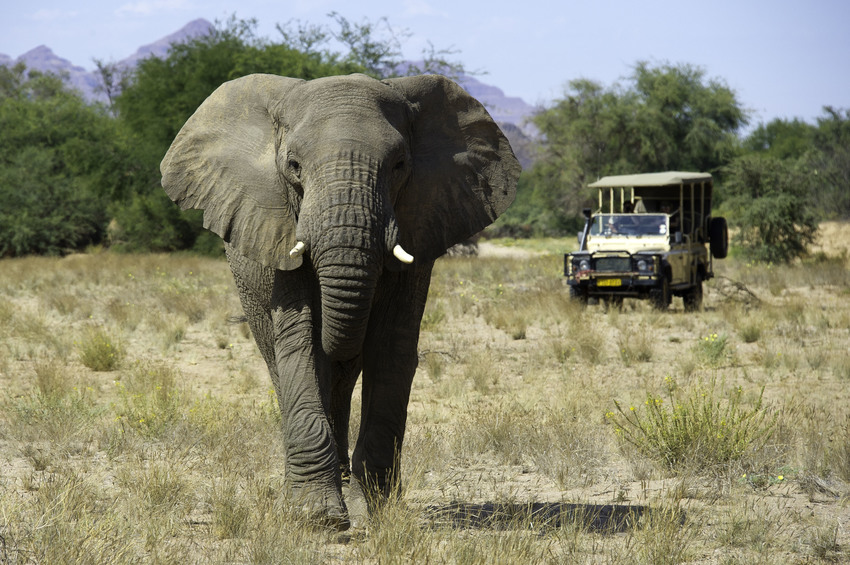 Damaraland Camp Damaraland Namibia 23
