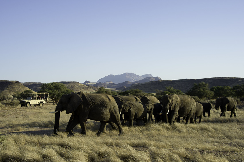 Damaraland Camp Damaraland Namibia 27
