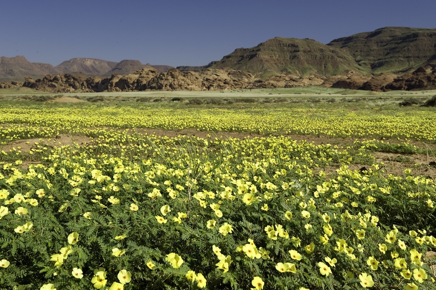 Damaraland Camp Damaraland Namibia 43