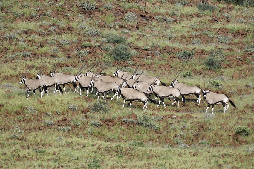 Damaraland Camp Damaraland Namibia 44
