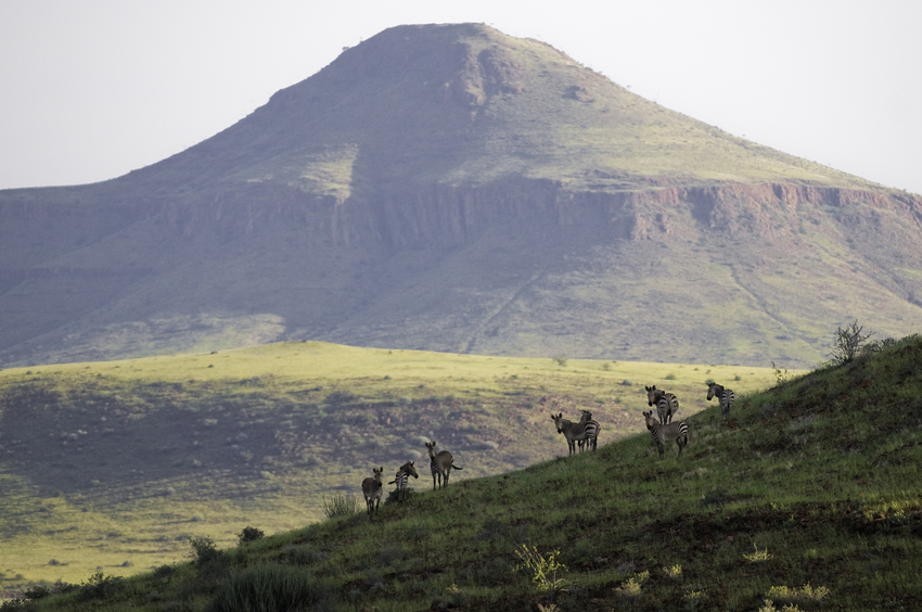 Damaraland Camp Damaraland Namibia 45