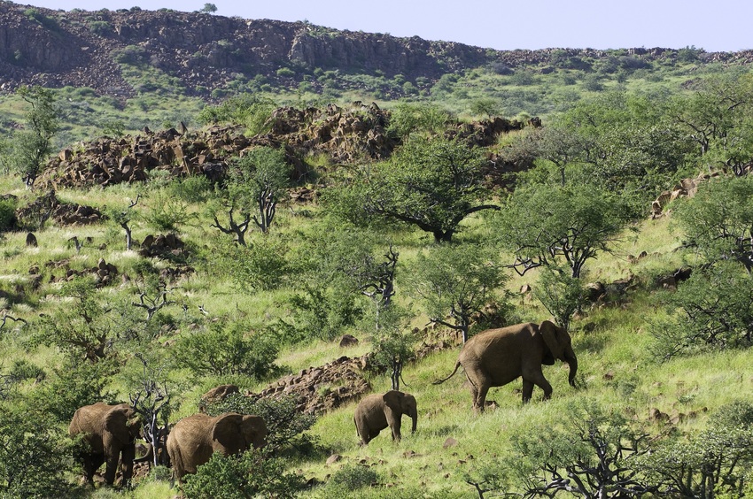 Damaraland Camp Damaraland Namibia 48