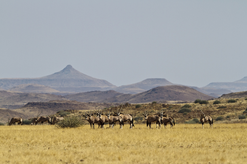 Damaraland Camp Damaraland Namibia 49