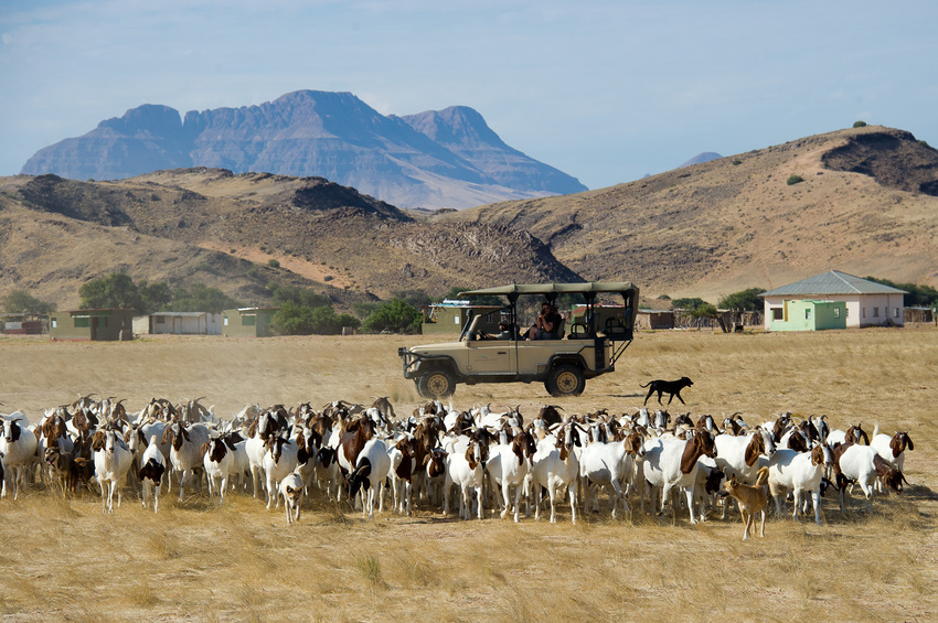 Damaraland Camp Damaraland Namibia 58