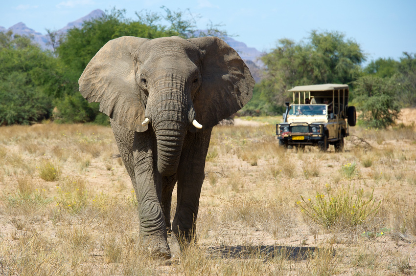 Damaraland Camp Damaraland Namibia 59