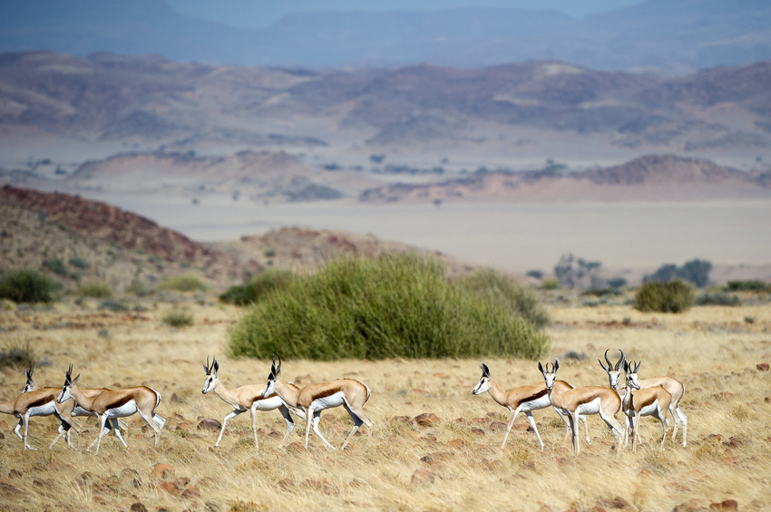 Damaraland Camp Damaraland Namibia 60