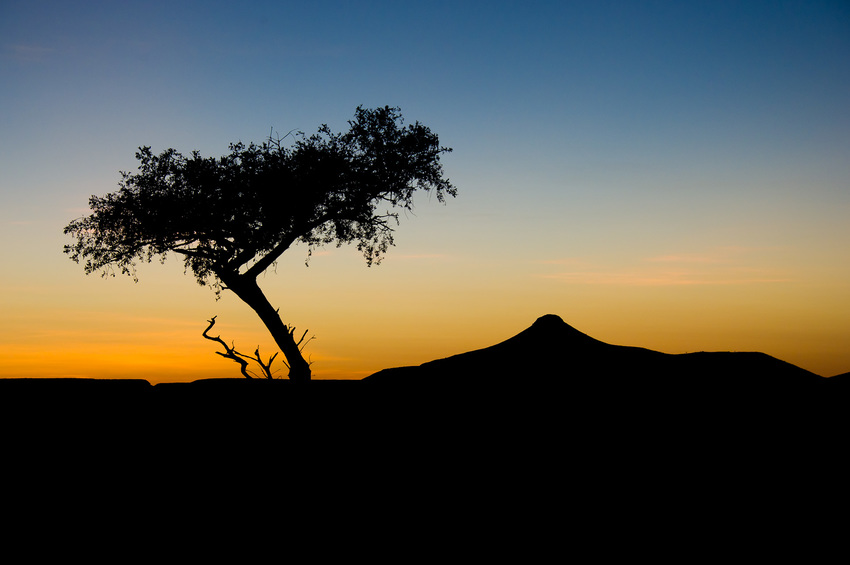 Damaraland Camp Damaraland Namibia 62