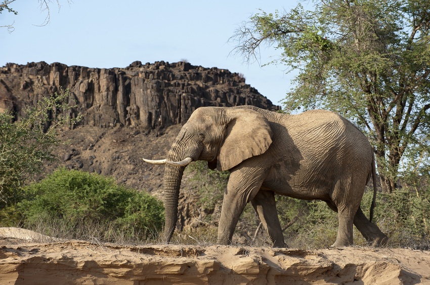 Damaraland Camp Damaraland Namibia 72