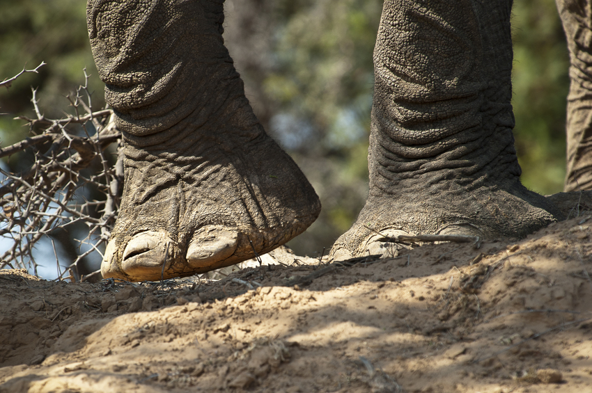 Damaraland Camp Damaraland Namibia 73