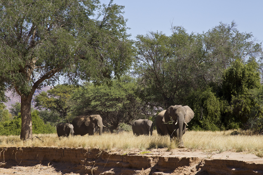 Damaraland Camp Damaraland Namibia 2