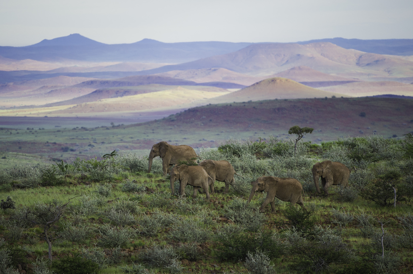 Damaraland Camp Damaraland Namibia 8