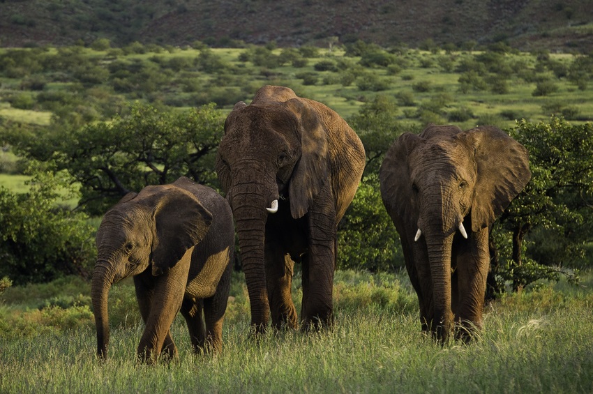 Damaraland Camp Damaraland Namibia 9