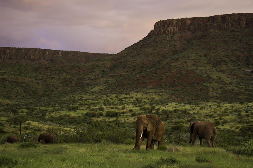 Damaraland Camp Damaraland Namibia 10