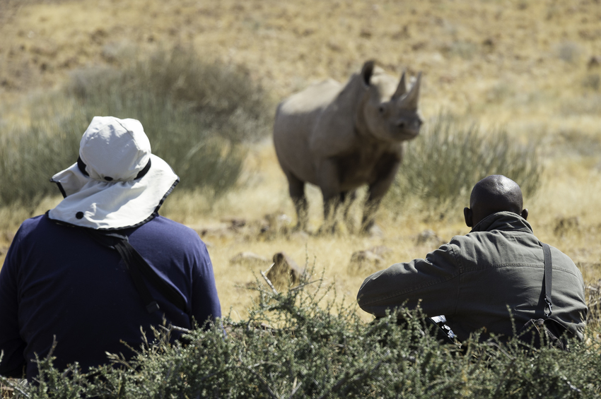 Desert Rhino Camp Damaraland Namibia 8