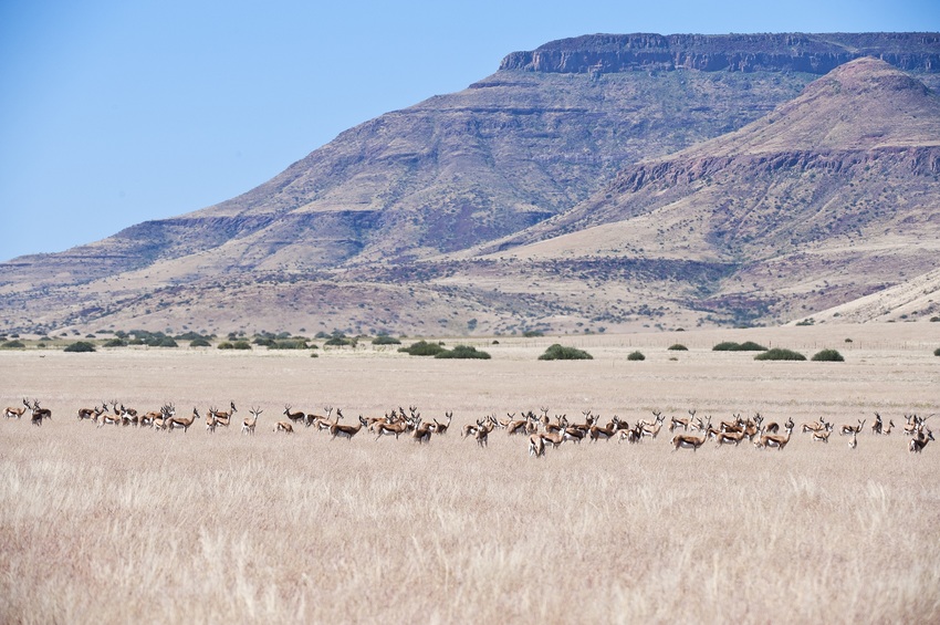 Desert Rhino Camp Damaraland Namibia 11