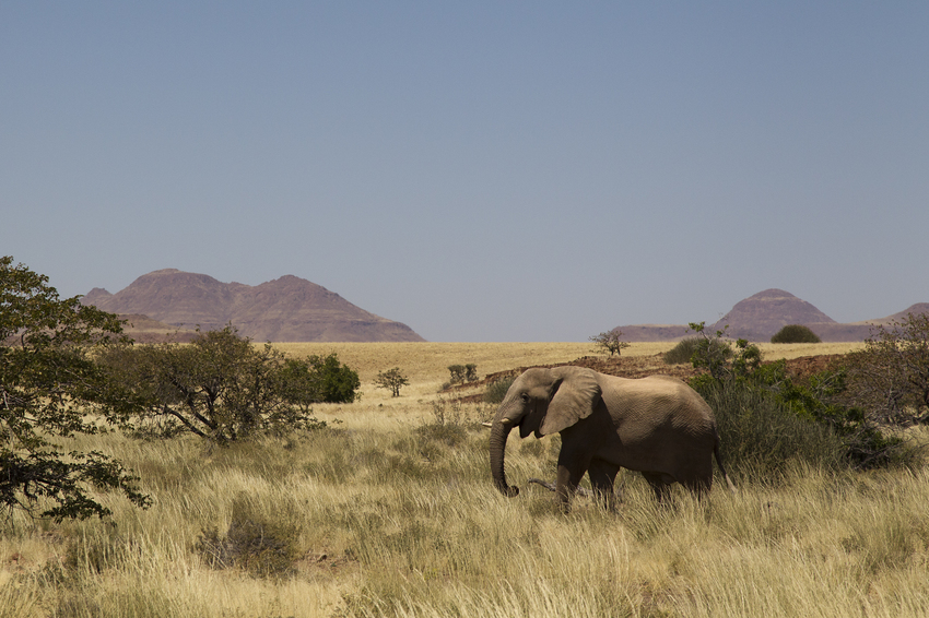 Desert Rhino Camp Damaraland Namibia 35