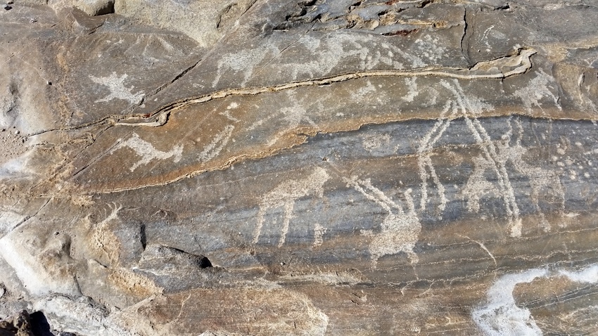 Epako Safari Lodge Damaraland Namibia 33