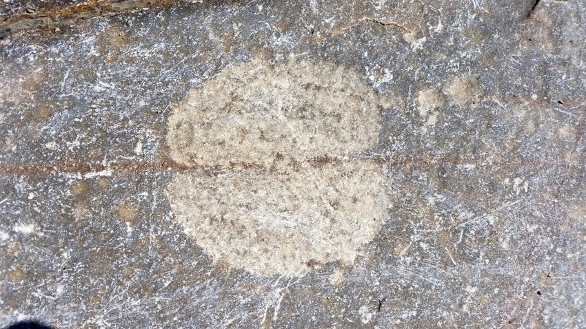 Epako Safari Lodge Damaraland Namibia 34