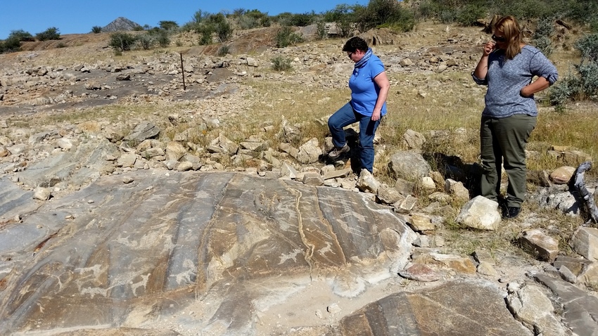 Epako Safari Lodge Damaraland Namibia 35