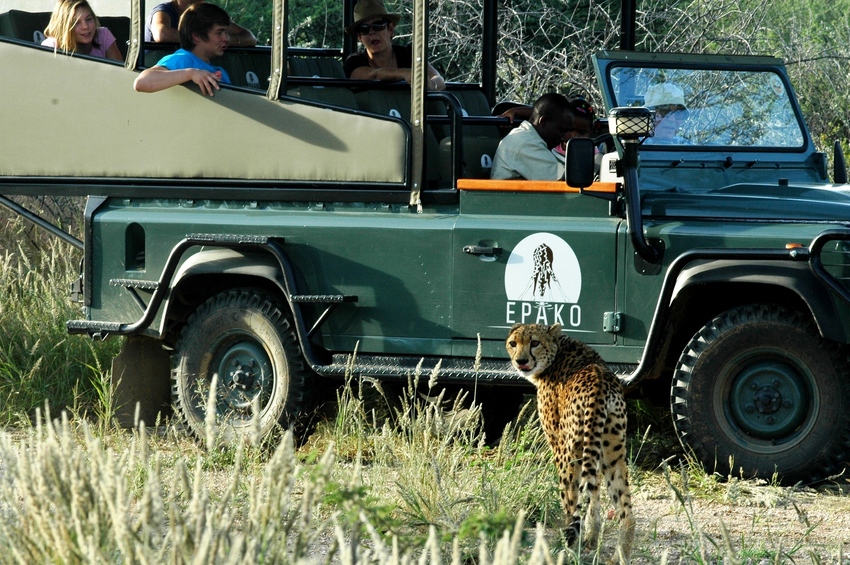 Epako Safari Lodge Damaraland Namibia 37Jpg