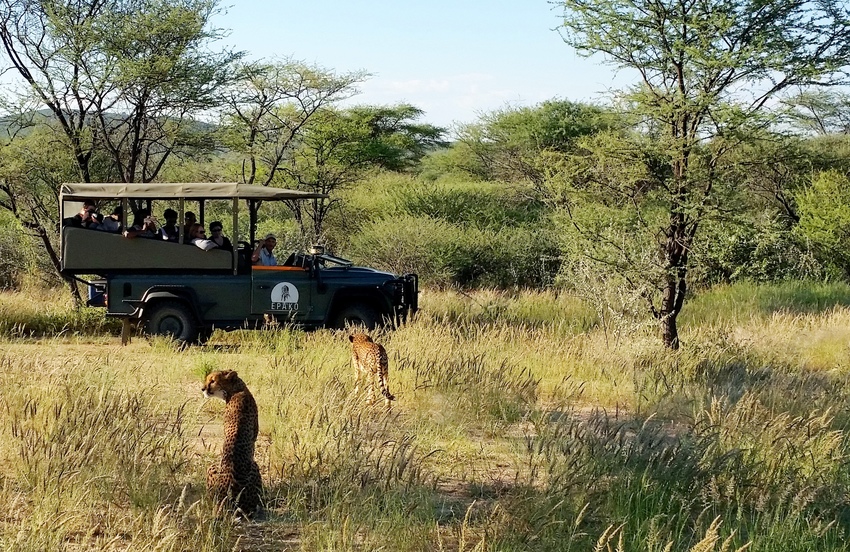 Epako Safari Lodge Damaraland Namibia 39