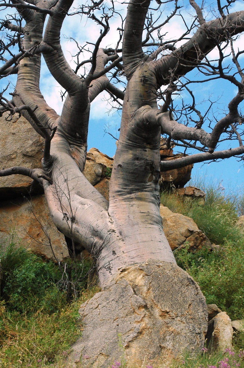 Epako Safari Lodge Damaraland Namibia 44Jpg