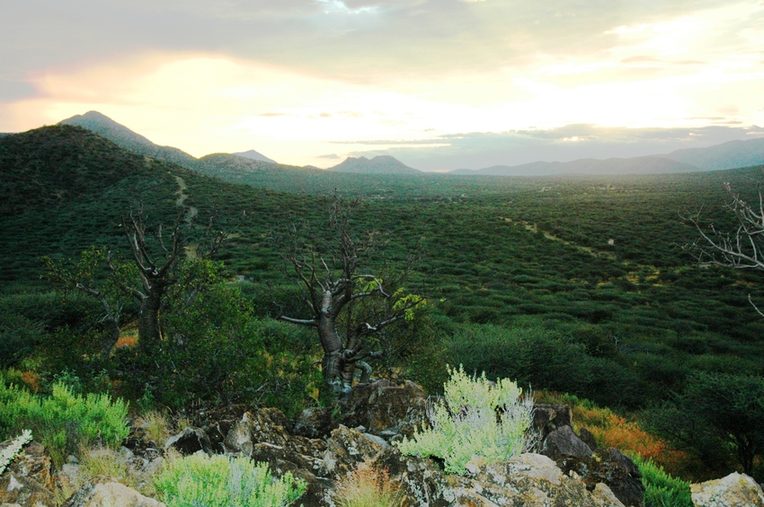 Epako Safari Lodge Damaraland Namibia 45Jpg