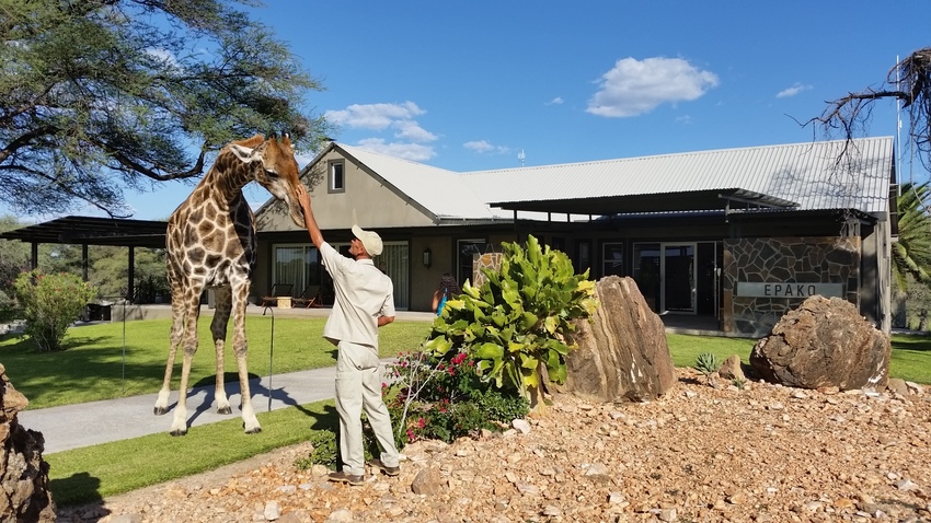 Epako Safari Lodge Damaraland Namibia 3