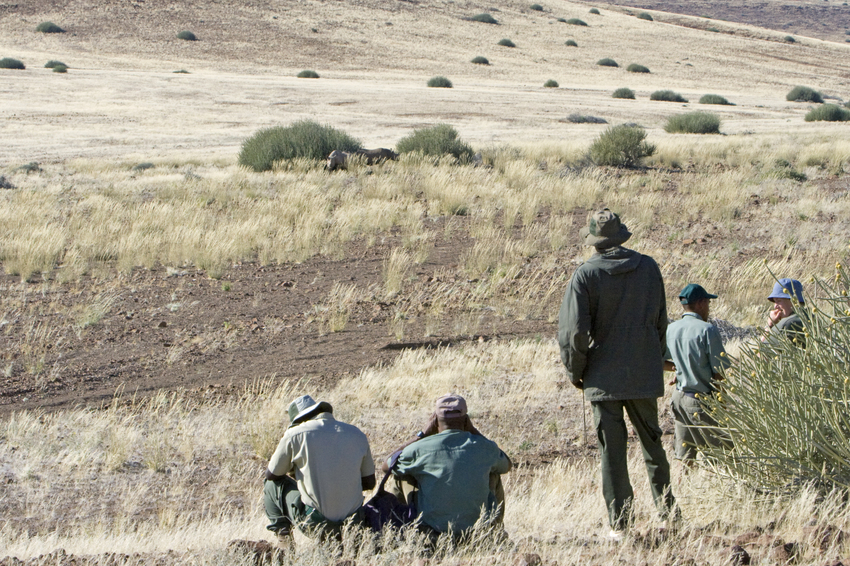 Desert Rhino Camp Damaraland Namibia 3