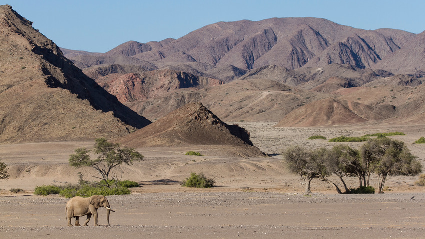 Hoanib Skeleton Coast Skeleton Coast Namibia 24