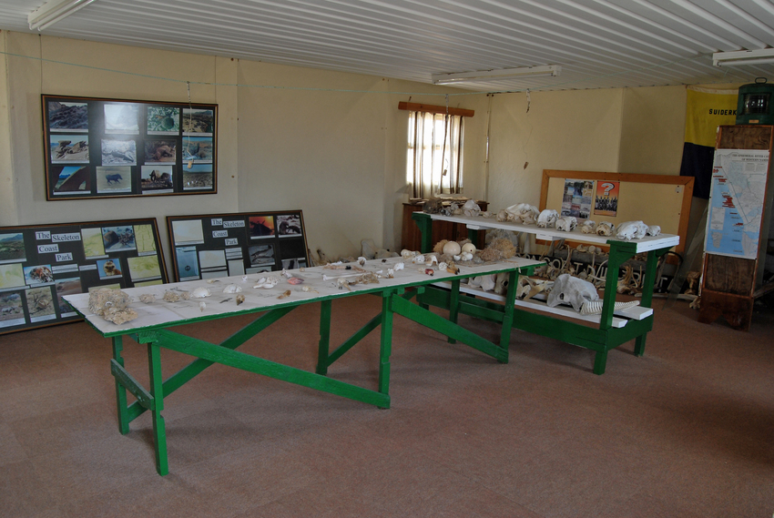 Hoanib Skeleton Coast Skeleton Coast Namibia 38