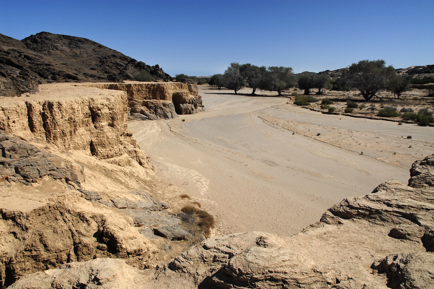 Hoanib Skeleton Coast Skeleton Coast Namibia 40