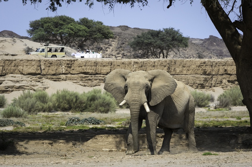 Hoanib Skeleton Coast Skeleton Coast Namibia 64
