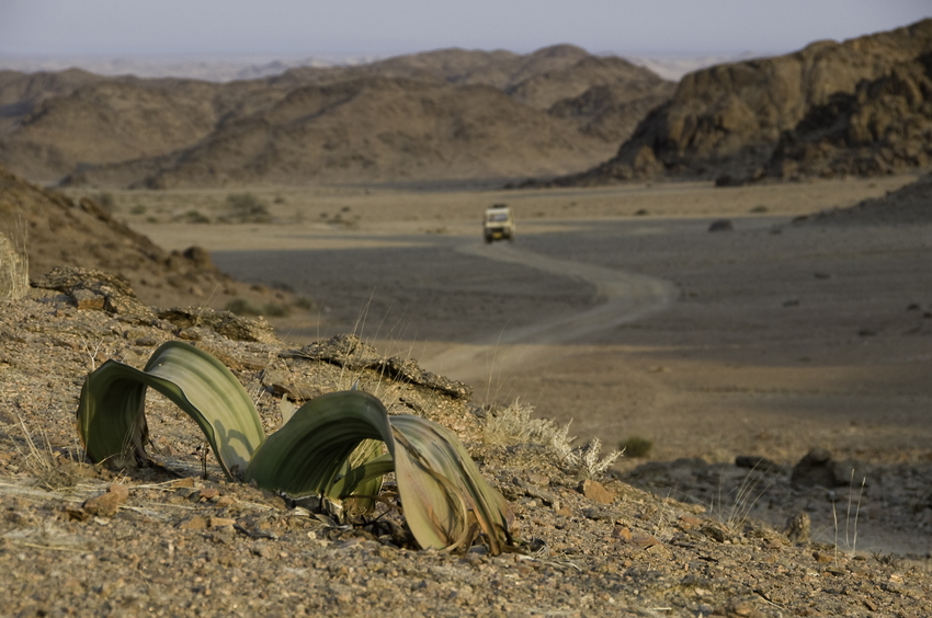 Hoanib Skeleton Coast Skeleton Coast Namibia 75