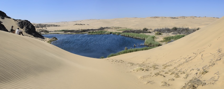 Hoanib Skeleton Coast Skeleton Coast Namibia 100