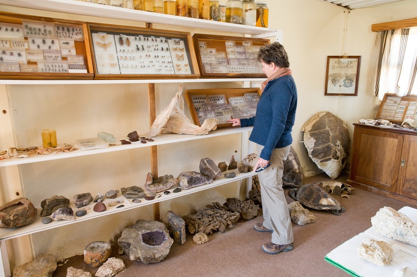 Hoanib Skeleton Coast Skeleton Coast Namibia 2