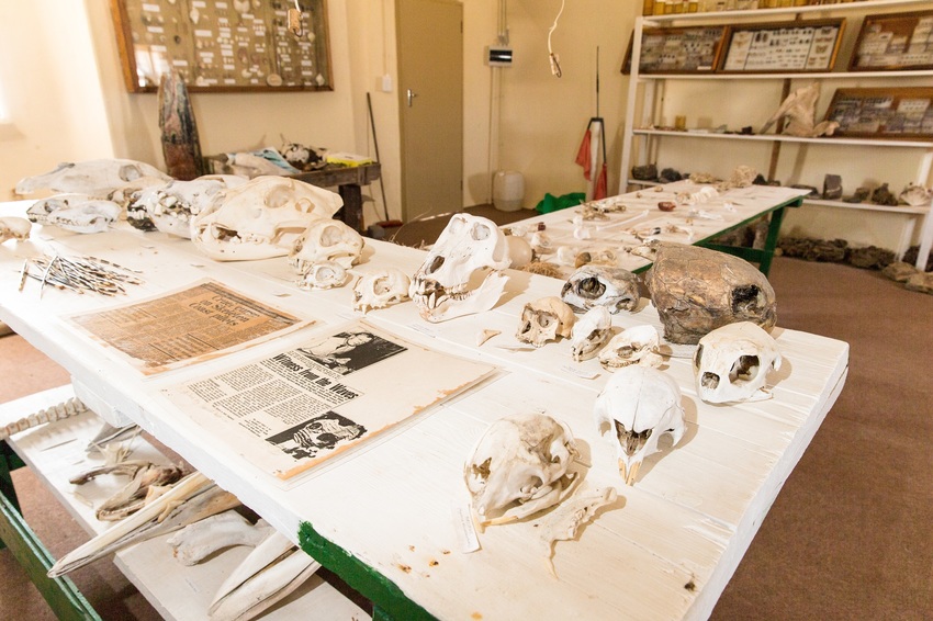 Hoanib Skeleton Coast Skeleton Coast Namibia 3