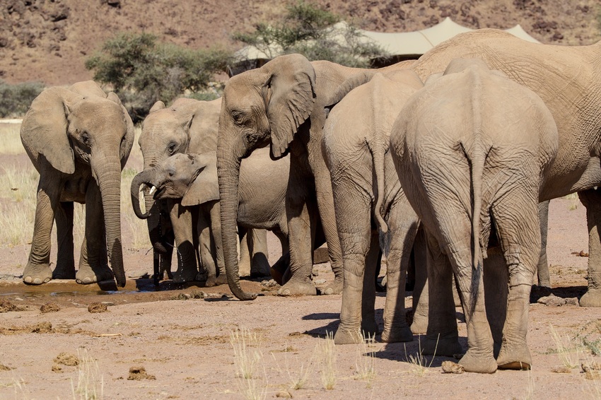 Hoanib Skeleton Coast Skeleton Coast Namibia 11
